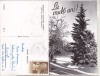 Bnk cp Iarna pe masivul Postavarul - felicitare circulata, Printata, Brasov