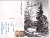 Bnk cp Iarna pe masivul Postavarul - felicitare circulata, Printata, Brasov