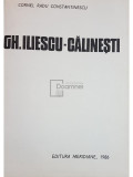 Cornel Radu Constantinescu - Gh. Iliescu-Calinesti (editia 1986)
