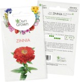 Set 2 plicuri cu seminte de Zinnia-Carciumarese OwnGrown, rosu/portocaliu, 120 bucati
