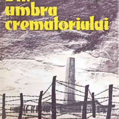 DIN UMBRA CREMATORULUI-OLIVER LUSTIG