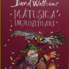 David Walliams - Matusica ingrozitoare (editia 2016)