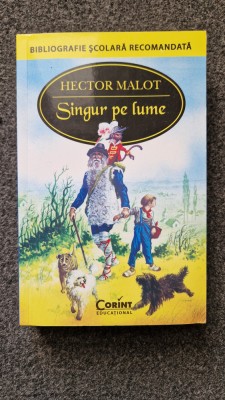 SINGUR PE LUME - Hector Malot (Corint) foto