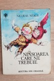 Ninsoarea care ne trebuie - Nicolae Neagu