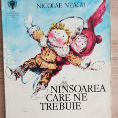 Ninsoarea care ne trebuie - Nicolae Neagu