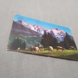 Cumpara ieftin CARTE POSTALA 1927 CIRCULATA LA BUCURESTI