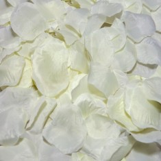 DIABLO PICANTE - 100 VANILLA PETALS foto