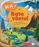 DE CE&hellip;? Bate vantul si alte intrebari despre planeta noastra - Niculescu
