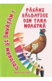 Pasari salbatice din tara noastra - Coloram si invatam!