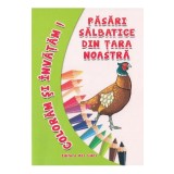 Pasari salbatice din tara noastra - Coloram si invatam!