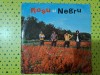 Disc Vinil Roșu Și Negru - Leopardul (7")Electrecord-45-EDC 10292