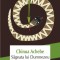 Chinua Achebe Sageata lui Dumnezeu