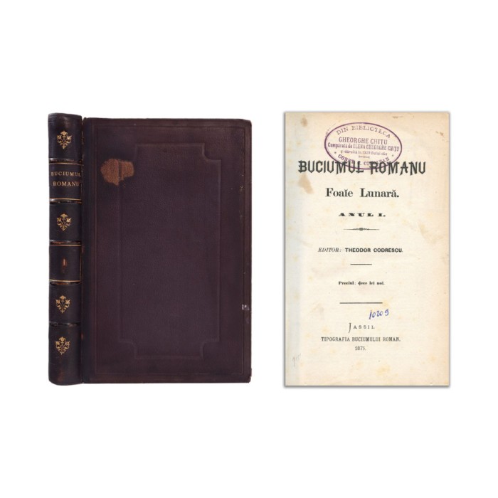 Publicația &bdquo;Buciumul Rom&acirc;n&rdquo;, anul I, 1875