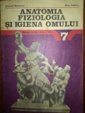 Anatomia, fiziologia si igiena omului. Manual pentru clasa a VII-a - Elisabeta Mandrusca, Mihai Peteanu