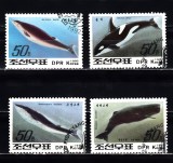 A12 S2 8 - Timbre foarte vechi - Coreea de nord - balene, Fauna, Stampilat