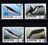 M2 TS1 8 - Timbre foarte vechi - Coreea de nord - balene, Fauna, Stampilat