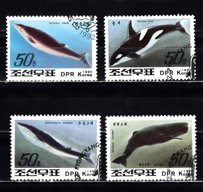 A12 S2 8 - Timbre foarte vechi - Coreea de nord - balene