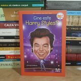 KIRSTEN ANDERSON - CINE ESTE HARRY STYLES ? , 2025 *