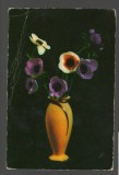 CPIB 20186 CARTE POSTALA - FELICITARE - VAZA CU ANEMONE