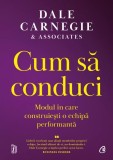 Cumpara ieftin Cum sa conduci, Curtea Veche