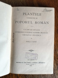 Plantele cunoscute de poporul roman - Zach C. Pantu 1906 / R3S