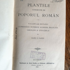 Plantele cunoscute de poporul roman - Zach C. Pantu 1906 / R3S