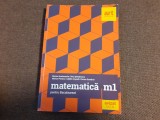 DINU SERBANESCU MARIUS ANDRONACHE MATEMATICA PENTRU BACALAUREAT M1