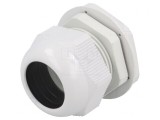 Garnitură de Etanșare Poliamidă Gri PG36 IP65