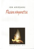 Flacara singuratica &ndash; Ion Ariesanu