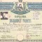HST PM36 Diplomă de bacalaureat 1945 București Liceul Eminescu