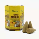 Cumpara ieftin Tamaie Masala Fum Curgator - Cocos si Mango