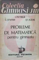 PROBLEME DE MATEMATICA PENTRU GIMNAZIU-I. PETRICA, C. STEFAN, ST. ALEXE-267369