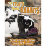 The Truth about Rabbits