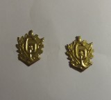 S 12 - semne de arma - metalice - geniu - model vechi - aurii