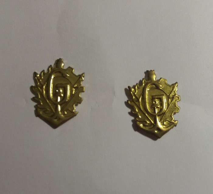 S 12 - semne de arma - metalice - geniu - model vechi - aurii