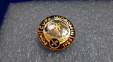 insigna Cupa Hidromin 1985