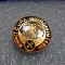 insigna Cupa Hidromin 1985
