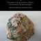 Art in the Anthropocene: Encounters Among Aesthetics, Politics, Environments and Epistemologies