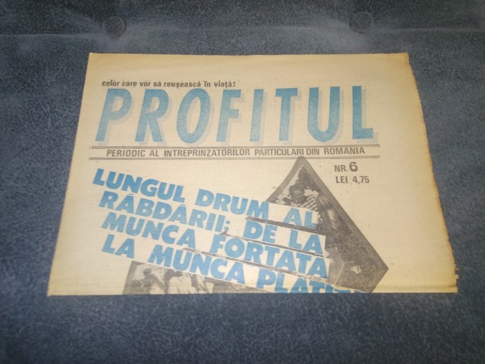 ZIARUL PROFITUL NR 6