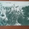 Carte postala, Bran Castelul Regal, 1925