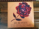 Arii din operete. Kalman, Offenbach, Herve etc. Stare excelenta! Vinyl, VINIL, Opera