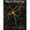 Gordon M. Shepherd - Neurobiology - 3rd edition - 126535