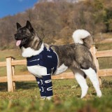 Balto - Ham cu atele pentru umeri S