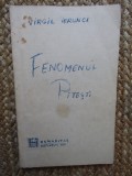 FENOMENUL PITESTI - VIRGIL IERUNCA