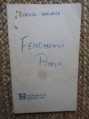FENOMENUL PITESTI - VIRGIL IERUNCA foto
