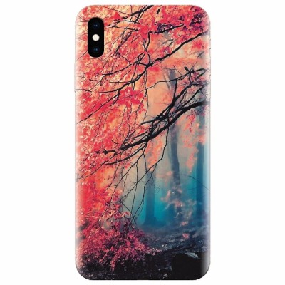 Husa silicon pentru Apple Iphone XS Max, Morning Fog Inest Nature foto
