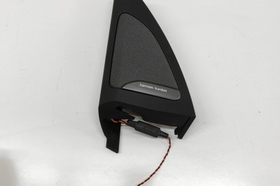 Difuzor ușă st&amp;acirc;nga față BMW X7 G07 2023 OEM: 6809632,7445515,7445517 31094972 foto