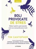 Cumpara ieftin Boli provocate de stres. Sfaturi pentru persoanele care se consuma prea mult/Tim Cantopher