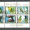 Umm al Qiwain - Birds, perf. mini block, used AB.059