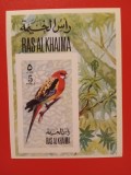 RAS AL KHAIMA, PĂSĂRI - COLIȚĂ MNH IMPERF.